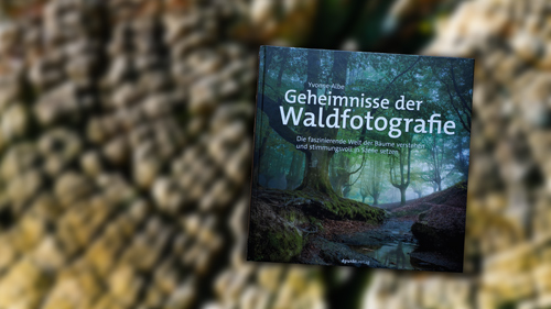 Buchcover ©dpunkt Verlag (Geheimnisse der Waldfotografie)