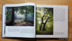 Doppelseite Geheimnisse der Waldfotografie ©dpunkt Verlag