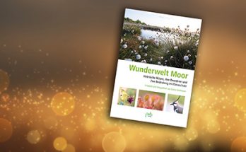 Beitragsbild Buchcover Wunderwelt Moor ©Pala Verlag