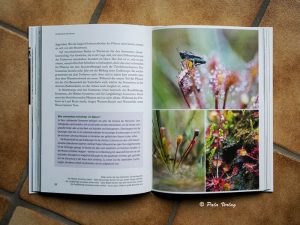 Blick ins Buch Wunderwelt Moor ©Pala Verlag