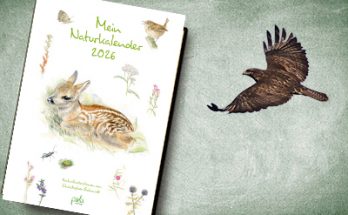 Beitragsbild Mein Naturkalender 2026 ©Pala-Verlag