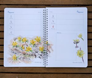 Doppelseite Mein Naturkalender 2026 ©Pala-Verlag Doppelseite Mein Naturkalender 2026 ©Pala-Verlag